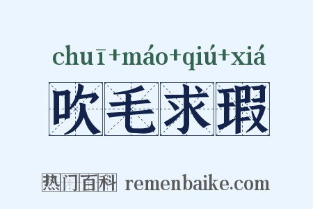 吹毛求瑕是什么意思的图片